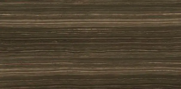 ULTRA MARMI ERAMOSA BROWN LUCIDATO SHINY