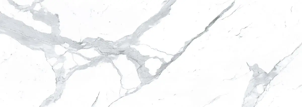 BIANCO STATUARIO VENATO 5,6