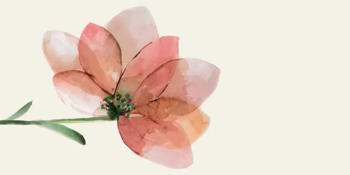 WANDERWALL FLEUR D