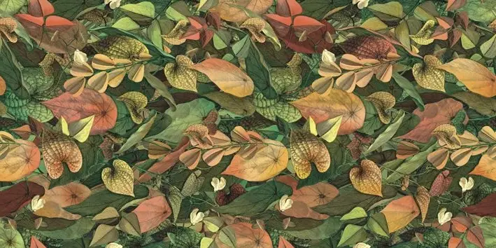 WANDERWALL FOLIAGE A