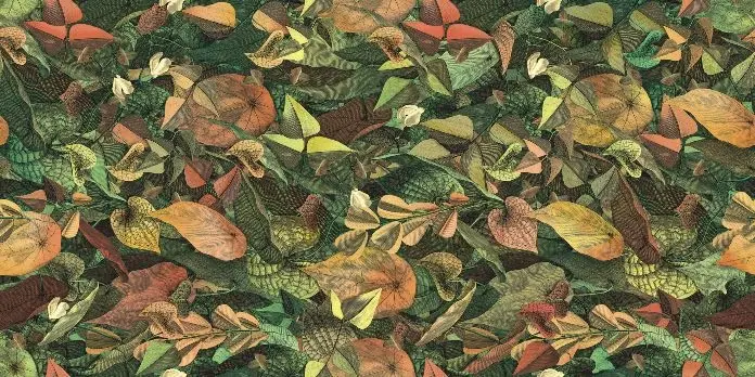 WANDERWALL FOLIAGE B