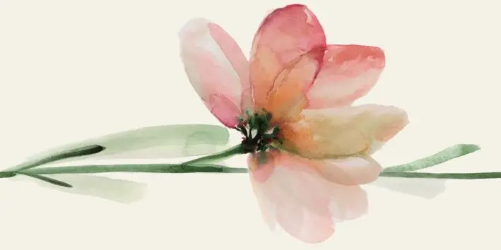 WANDERWALL FLEUR B