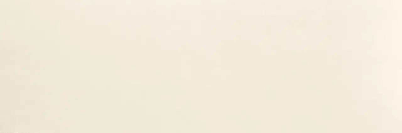 BIANCO DENSO PLUS PG7EX05
