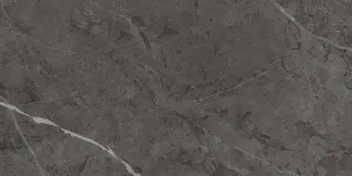 Шарм Эво Антрачит 60X120 Рет