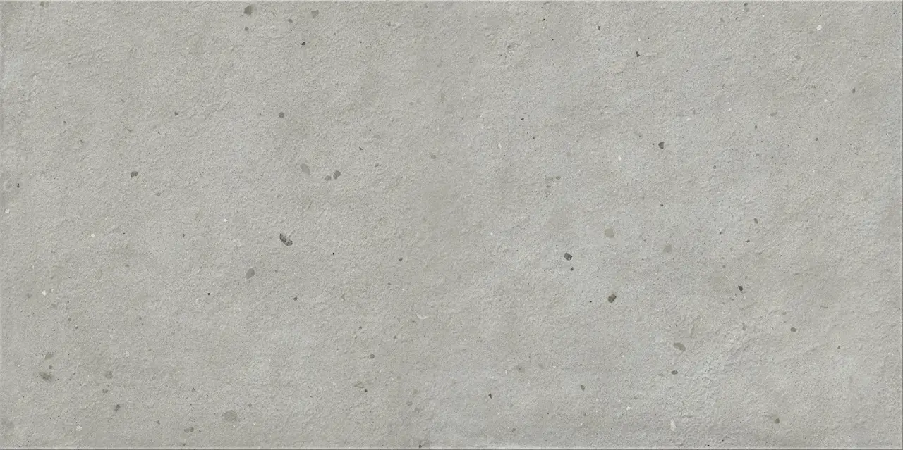 Авангард Сильвер 60X120 Рет Х2