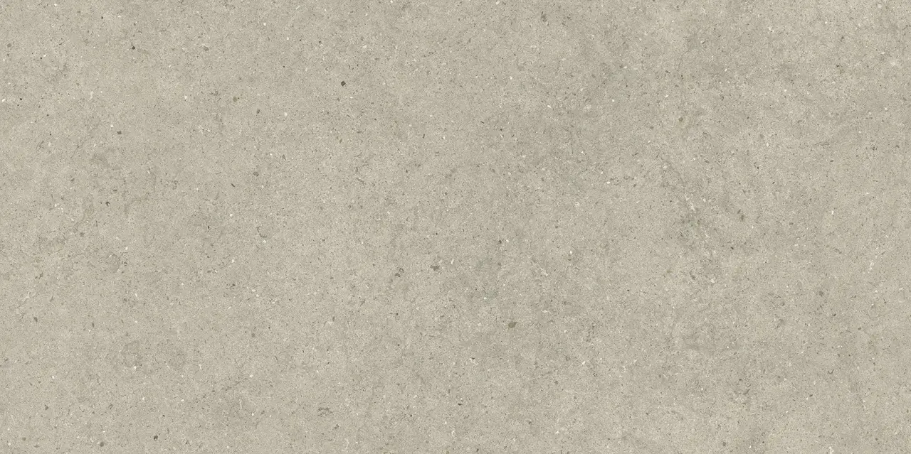 Форум Стоун Дезерт 60X120