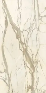 Marmi Calacatta Elite sat