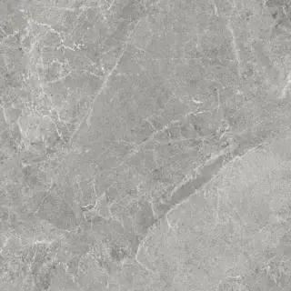 ADVANCE SKIN SILVER PLUS 3000X1000X3,5
