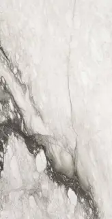 ÉTOILE RENOIR MAT