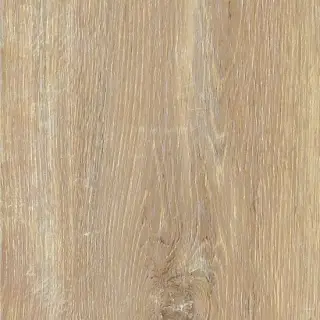 FOREST ROVERE NATURAL PLUS 200X1200X5,5