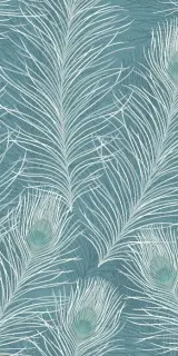 WANDERWALL PLUME C