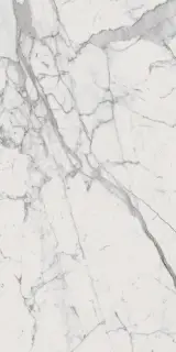 Шарм Эво Статуарио 60X120 Люкс