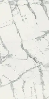 Шарм Делюкс Инвизибл Уайт 60X120 Cer