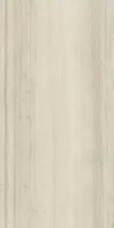 Шарм Эдванс Силк Грэй 60X120 Пат