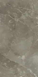 Стелларис Тусканиа Грэй 60X120 Рет