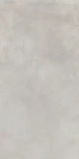 Миллениум сильвер 60X120 Рет Х2