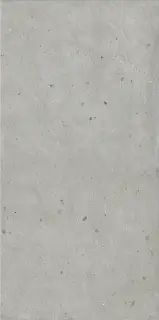 Авангард Сильвер 60X120 Рет Х2