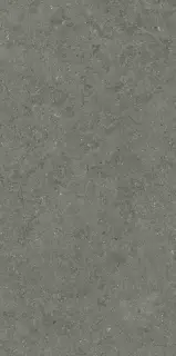 Форум Стоун Айрон 60X120
