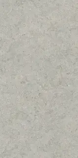 Форум Стоун Сильвер 60X120