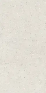 Форум Стоун Полар 60X120
