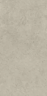 Форум Стоун Дезерт 60X120