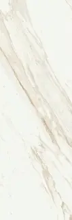 Треви Уайт 25X75