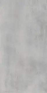 Астро Сильвер 60X120 Рет