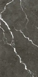 Микеланджело Дарк 60X120 Рет