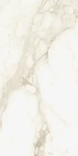 Микеланджело Ворм 60X120 Рет