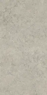 Саленто Грэй 60X120 Рет