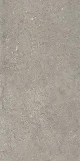 Дискавер Грэй 60X120 Рет