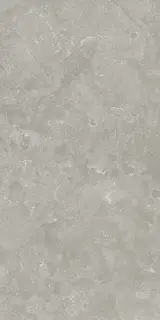 Вояджер Грэй 60X120 Рет