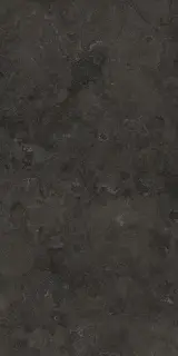 Вояджер Блэк 60X120 Рет