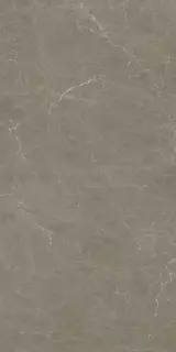Статус Мока 60Х120