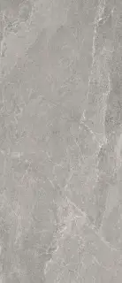ADVANTAGE SILVER