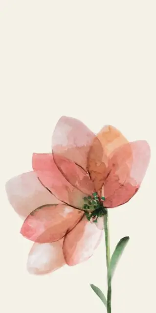WANDERWALL FLEUR D
