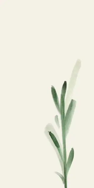 WANDERWALL FLEUR E