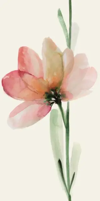 WANDERWALL FLEUR B