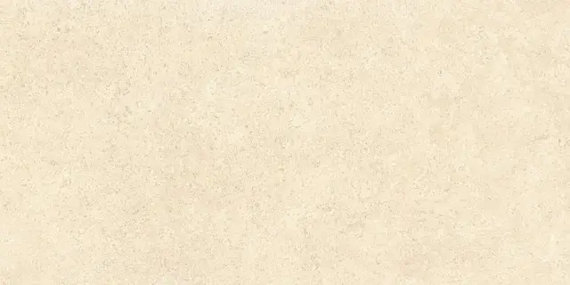 SandStone Песочный Матовый R10A