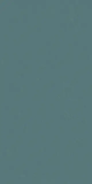 Серфейс Оушн 60X120 Пат