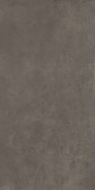 Этернум Кофи 60X120 Рет