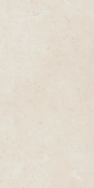 Фоссил Пьюр 60X120 Рет