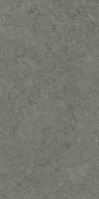 Форум Стоун Айрон 60X120