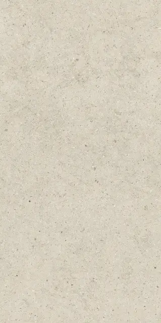 Форум Стоун Пьюр 60X120