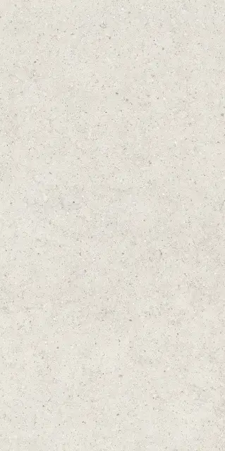 Форум Стоун Полар 60X120
