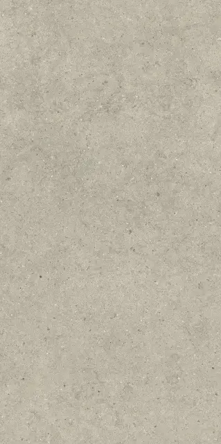 Форум Стоун Дезерт 60X120