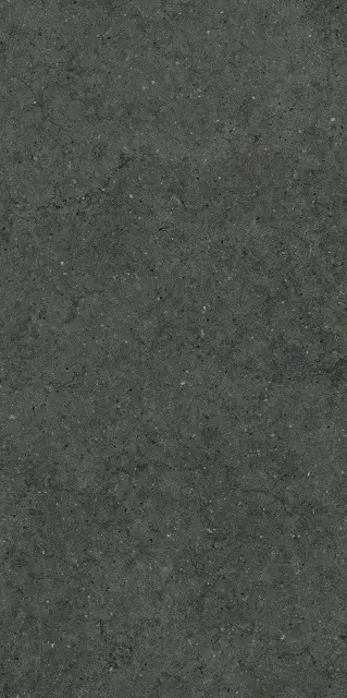 Форум Стоун Петрол 60X120