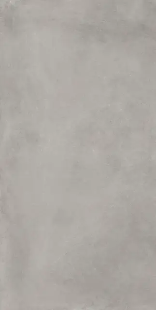 Сан-Сиро Грэй 60X120 Рет