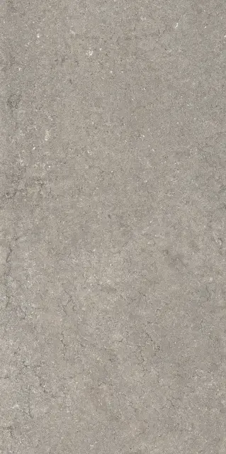 Дискавер Грэй 60X120 Рет