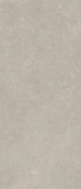 FOSSIL GREY